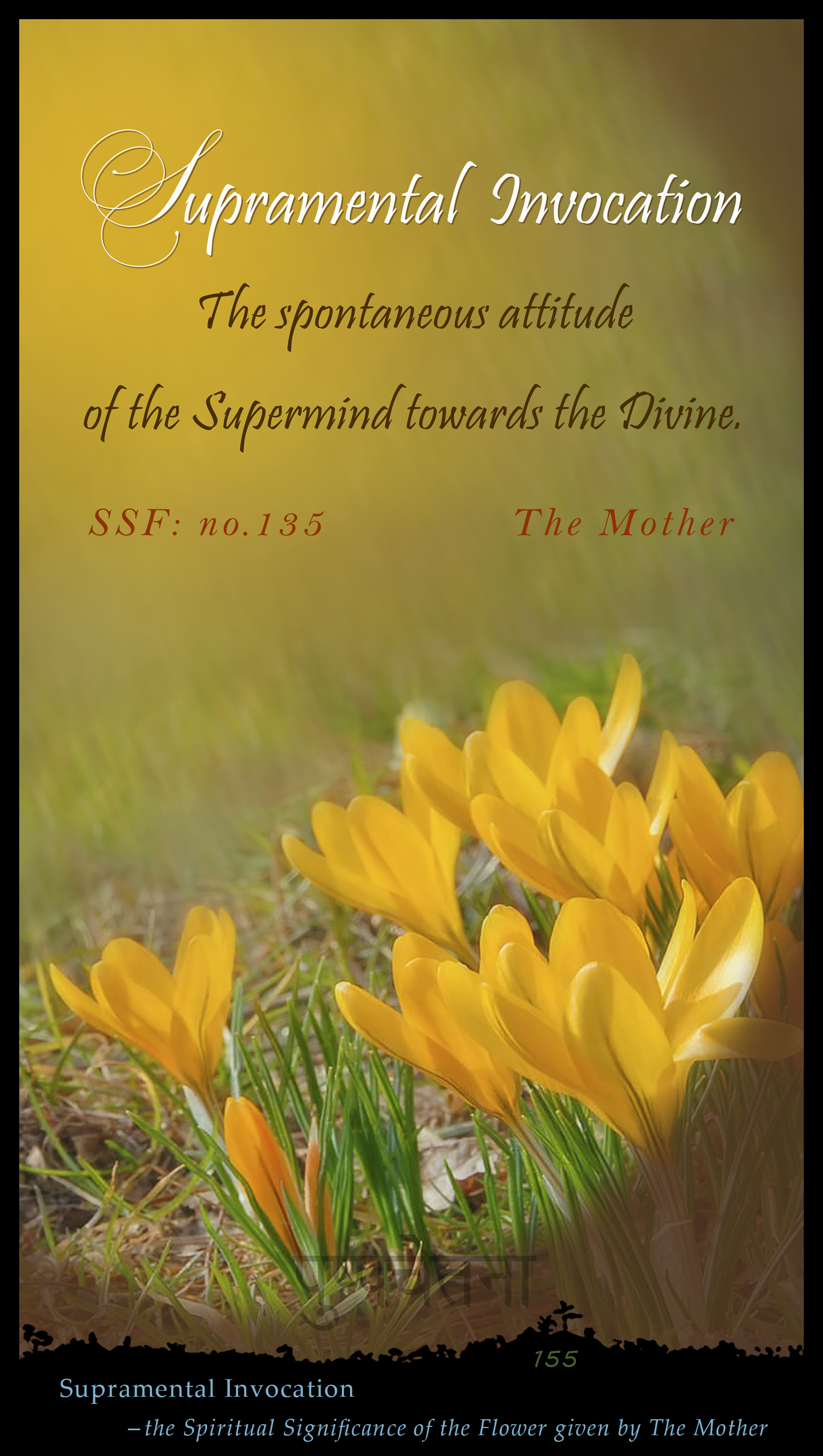 Supramental Invocation